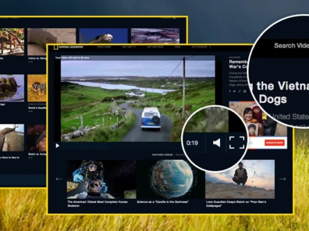 screenshot of National Geographic website for Brightspot CMS case study