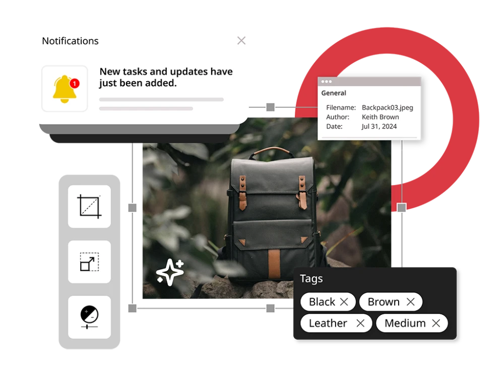 illustration showing essential digital asset management features for e-commerce businesses