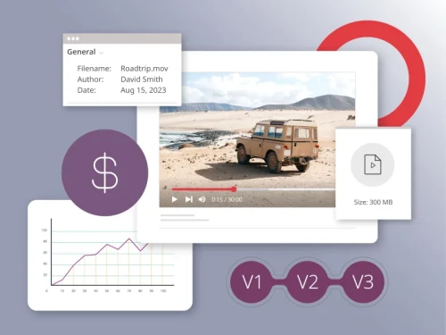 illustration depicting important digital asset management features for video publishing