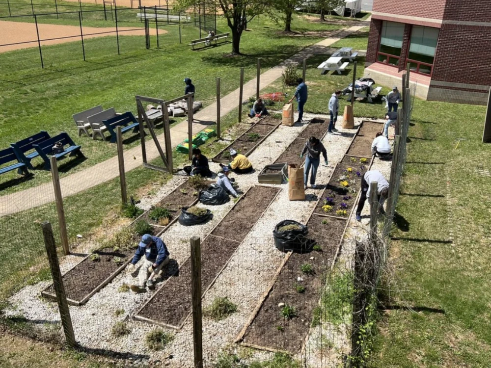 Brightspot volunteers helping to replant Aldrin Elementary School community garden
