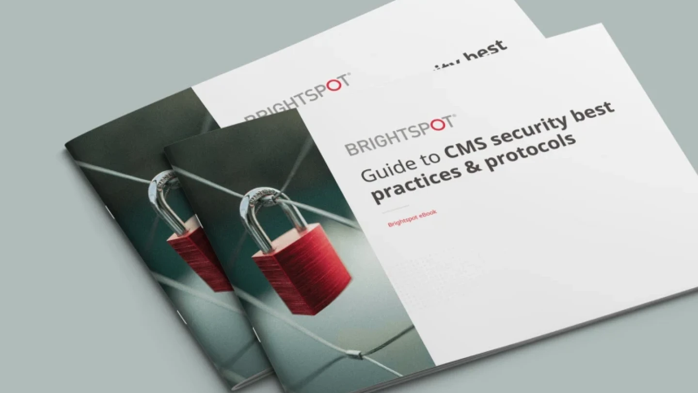 Guide to CMS security e-book cover