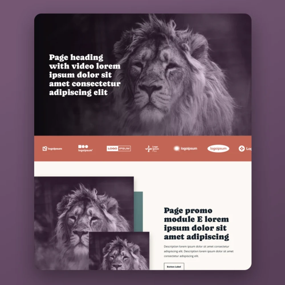 example website built using Brightspot Design System