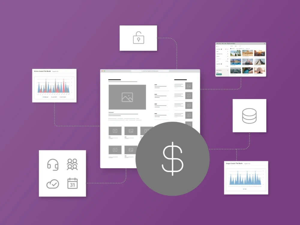 illustration of website tools and features with dollar icon to represent ROI