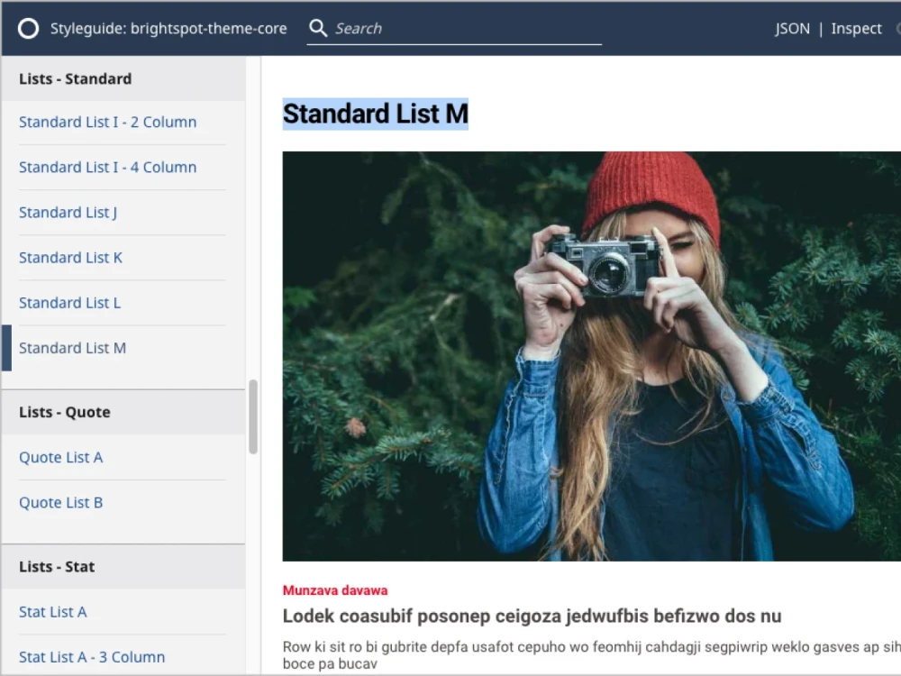 example of a customized list shown in the Brightspot CMS Styleguide