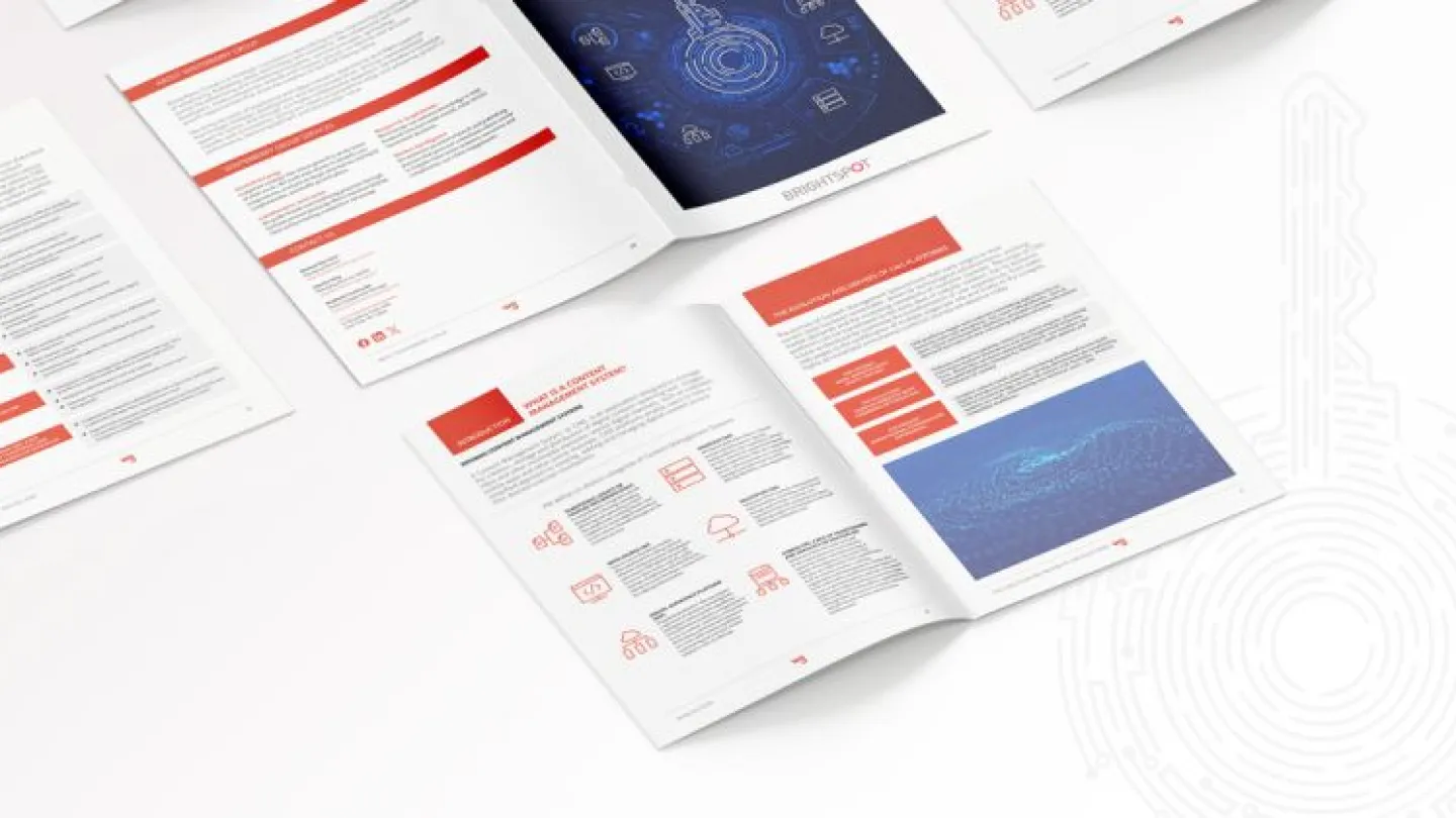 Winterberry Group CMS Report promo graphic