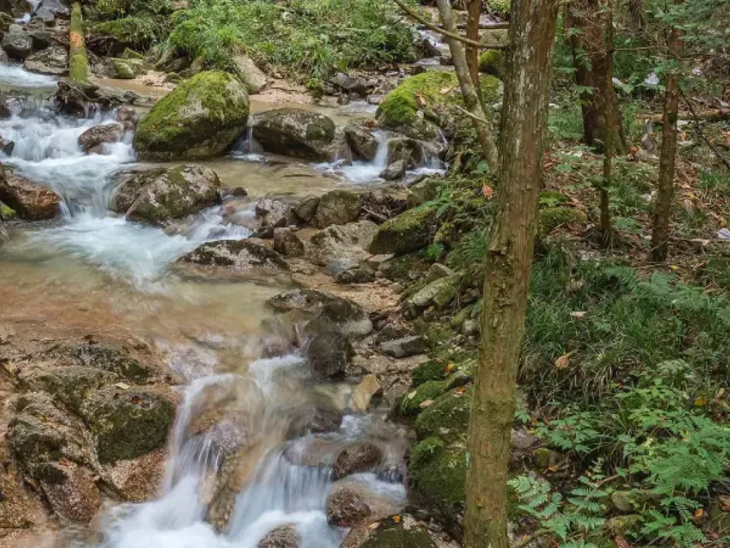 Walton Family Foundation Brightspot CMS case study image